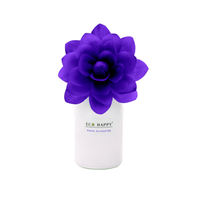 Mikado Flor Mora Silvestre